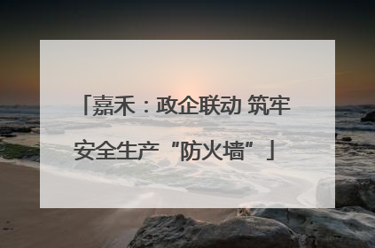 嘉禾：政企联动 筑牢安全生产“防火墙”
